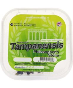 Magic truffles Tampanensis