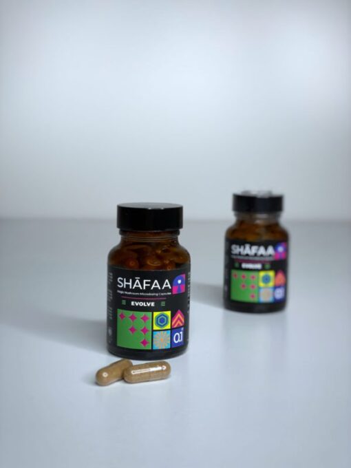 Shafaa Evolve Magic Mushroom Microdosing Cognition Kapseln