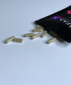 Shafaa Evolve Magic Mushroom Microdosing Prime Kapseln