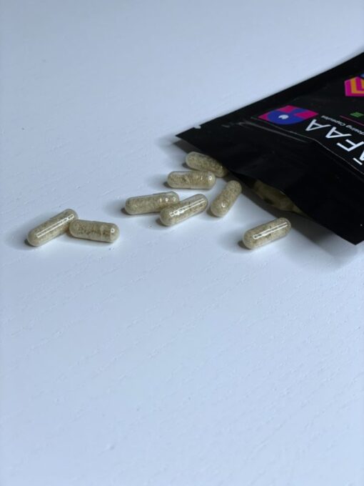 Shafaa Evolve Magic Mushroom Microdosing Prime Kapseln