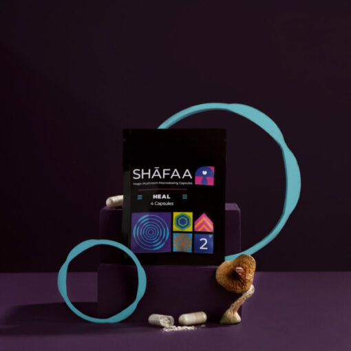 Shafaa Macrodosing Magic Mushroom Kapseln – Penis Neid