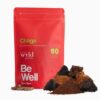 Stay Wyld Organics – Chaga-Pilz-Kapseln (Beutel mit 90 Stück)