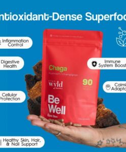 Stay Wyld Organics – Chaga-Pilz-Kapseln (Beutel mit 90 Stück)
