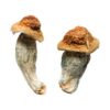 Melmac-Homestead-Penis-Envy-Shrooms-