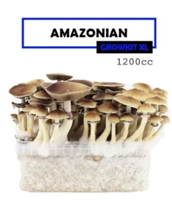 Mondo Growkit Amazonas Medium