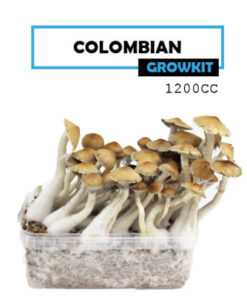 Mondo Growkit Kolumbianisch Medium