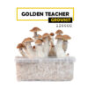 Mondo Growkit Goldener Lehrer Medium