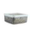 Cubensis Growkit Goldener Lehrer
