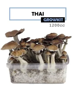 Mondo Growkit Thai Medium
