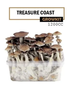 Mondo Growkit Treasure Coast Medium